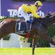 Dagsläget påverkar oddsen på hästsporter